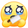 Shopping through tears