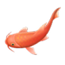 Koi